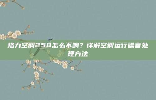 格力空调250怎么不响?详解空调运行噪音处理方法