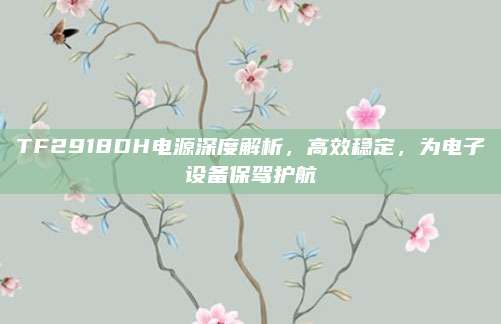 TF2918DH电源深度解析,高效稳定,为电子设备保驾护航