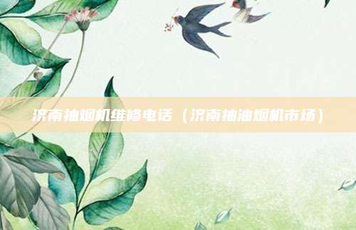 济南抽烟机维修电话（济南抽油烟机市场）