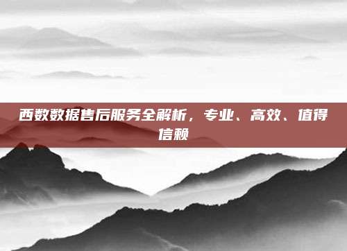 西数数据售后服务全解析,专业、高效、值得信赖