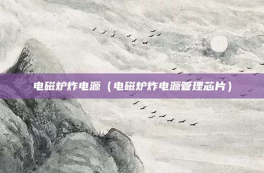电磁炉炸电源（电磁炉炸电源管理芯片）