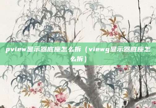 pview显示器底座怎么拆（viewg显示器底座怎么拆）