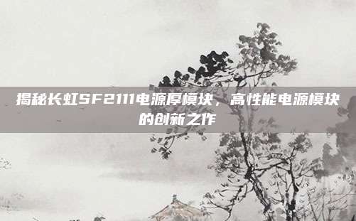 揭秘长虹SF2111电源厚模块,高性能电源模块的创新之作