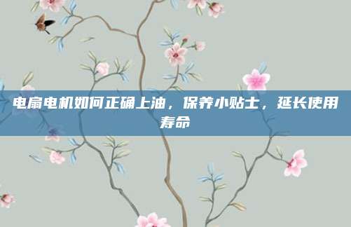 电扇电机如何正确上油,保养小贴士,延长使用寿命