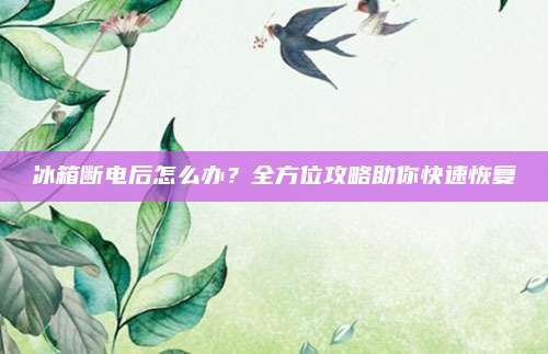 冰箱断电后怎么办?全方位攻略助你快速恢复