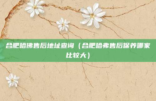 合肥哈佛售后地址查询（合肥哈弗售后保养哪家比较大）
