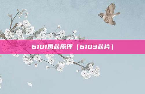 6101国芯原理（6103芯片）