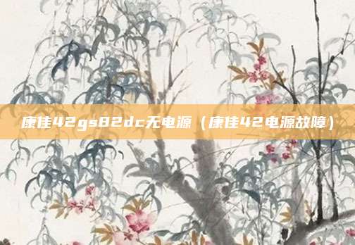 康佳42gs82dc无电源（康佳42电源故障）