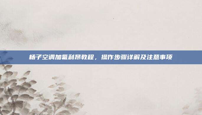 杨子空调加氟利昂教程,操作步骤详解及注意事项