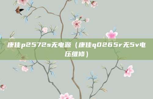 康佳p2572s无电源（康佳q0265r无5v电压维修）