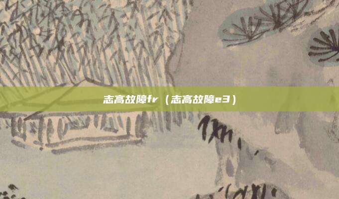 志高故障fr（志高故障e3）