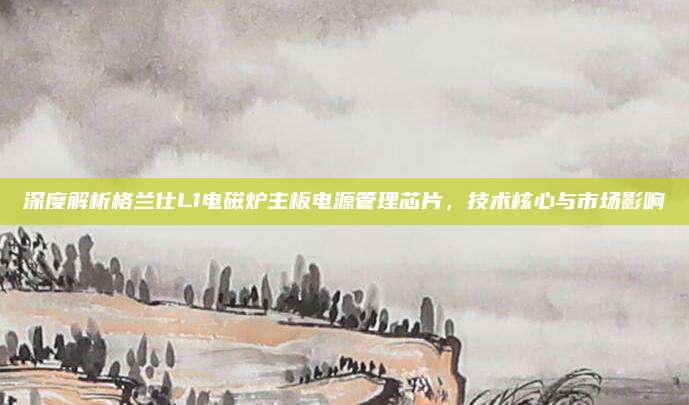 深度解析格兰仕L1电磁炉主板电源管理芯片,技术核心与市场影响