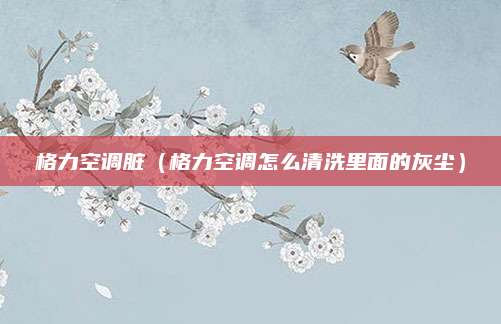 格力空调脏（格力空调怎么清洗里面的灰尘）