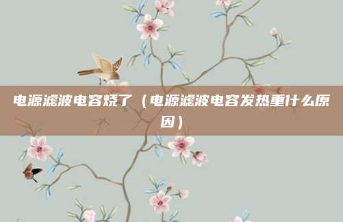 电源滤波电容烧了（电源滤波电容发热重什么原因）
