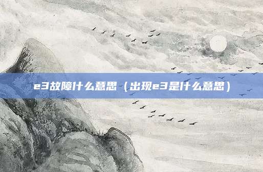 e3故障什么意思(出现e3是什么意思)