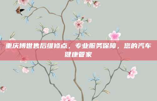 重庆博世售后维修点,专业服务保障,您的汽车健康管家