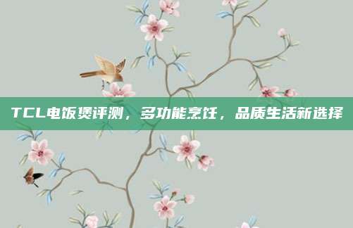 TCL电饭煲评测,多功能烹饪,品质生活新选择