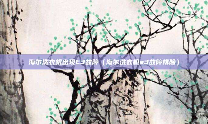 海尔洗衣机出现E3故障（海尔洗衣机e3故障排除）