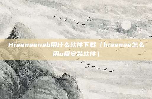 Hisenseusb用什么软件下载（hisense怎么用u盘安装软件）
