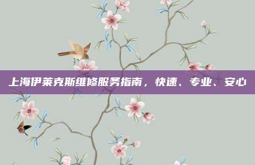 上海伊莱克斯维修服务指南,快速、专业、安心