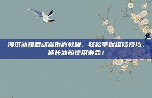 海尔冰箱启动器拆解教程,轻松掌握维修技巧,延长冰箱使用寿命!