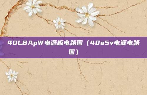 40LBApW电源板电路图（40a5v电源电路图）