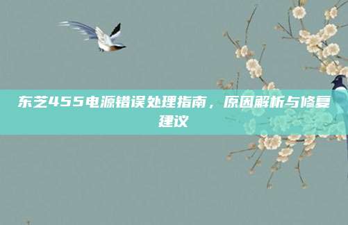 东芝455电源错误处理指南,原因解析与修复建议