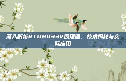 深入解析RTD2033V原理图,技术揭秘与实际应用
