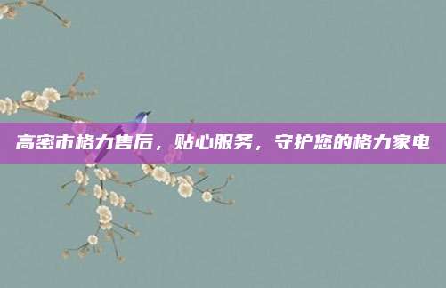 高密市格力售后,贴心服务,守护您的格力家电