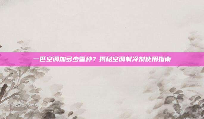 一匹空调加多少雪种?揭秘空调制冷剂使用指南