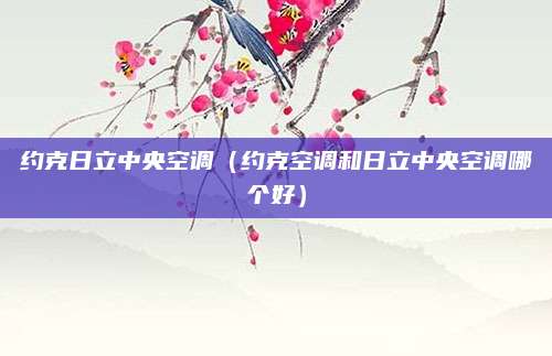 约克日立中央空调（约克空调和日立中央空调哪个好）