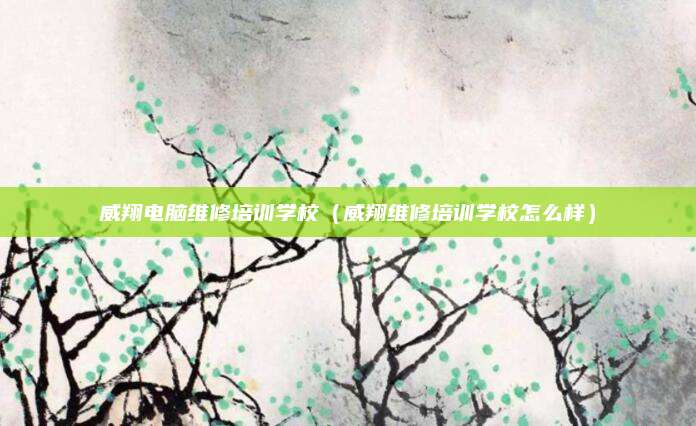 威翔电脑维修培训学校（威翔维修培训学校怎么样）