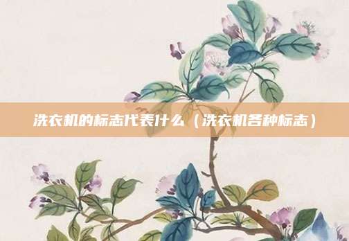 洗衣机的标志代表什么（洗衣机各种标志）