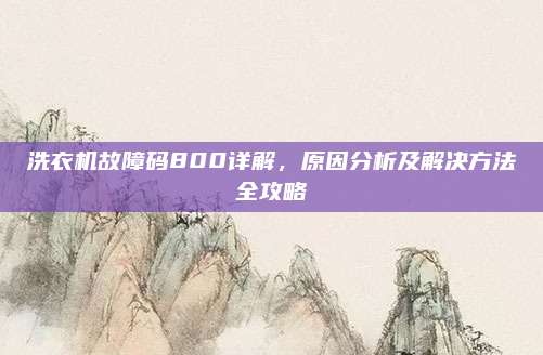 洗衣机故障码800详解,原因分析及解决方法全攻略