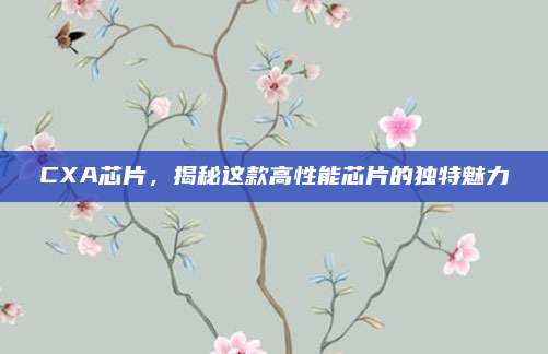 CXA芯片,揭秘这款高性能芯片的独特魅力