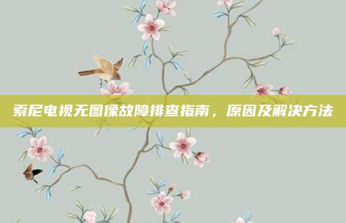 索尼电视无图像故障排查指南,原因及解决方法