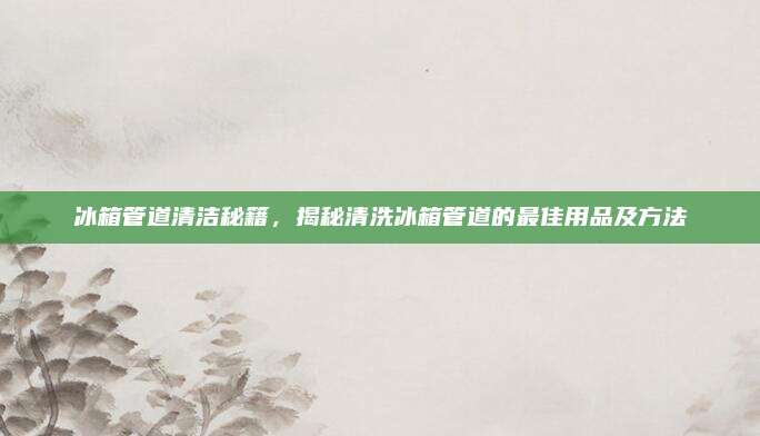 冰箱管道清洁秘籍,揭秘清洗冰箱管道的最佳用品及方法