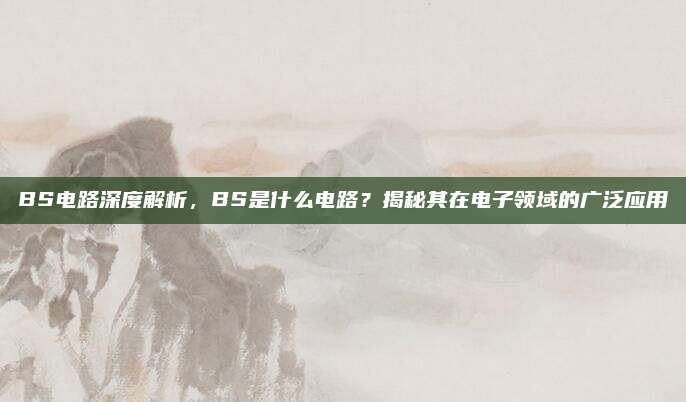 BS电路深度解析,BS是什么电路?揭秘其在电子领域的广泛应用