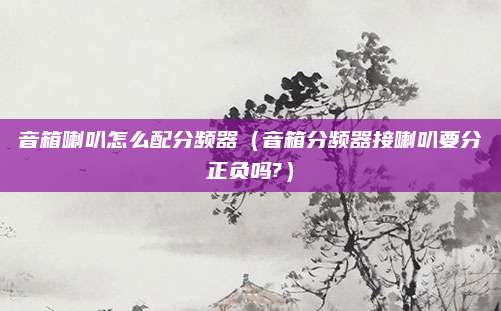 音箱喇叭怎么配分频器（音箱分频器接喇叭要分正负吗?）