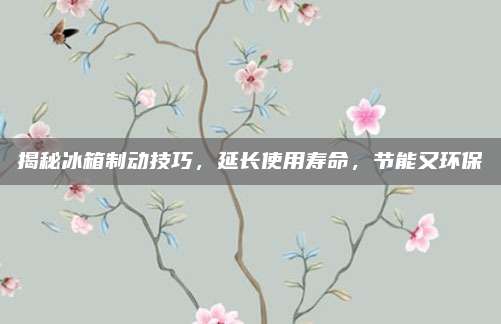 揭秘冰箱制动技巧,延长使用寿命,节能又环保