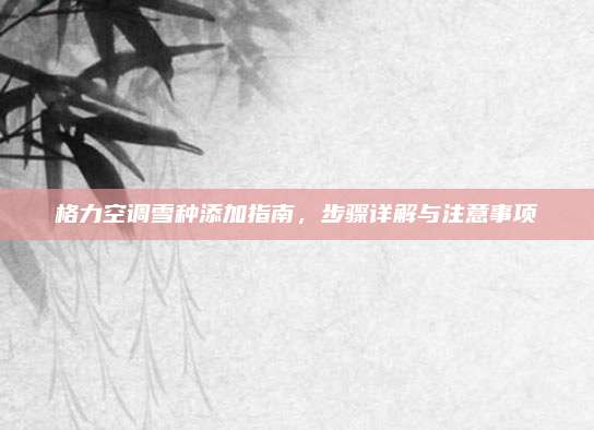 格力空调雪种添加指南,步骤详解与注意事项