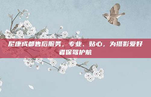 尼康成都售后服务,专业、贴心,为摄影爱好者保驾护航