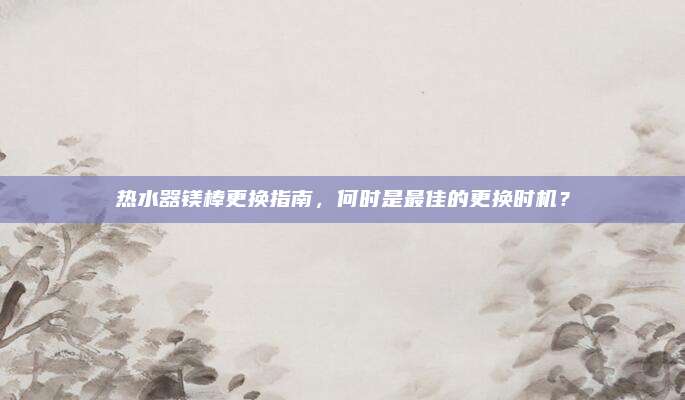 热水器镁棒更换指南,何时是最佳的更换时机?