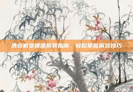 洗衣机变速器拆装指南,轻松掌握拆装技巧