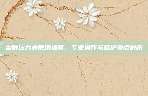 雪种压力表使用指南,专业操作与维护要点解析