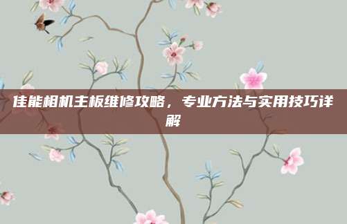 佳能相机主板维修攻略,专业方法与实用技巧详解
