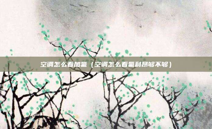 空调怎么看加氟(空调怎么看氟利昂够不够)