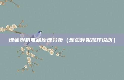 埋弧焊机电路原理分析（埋弧焊机操作说明）