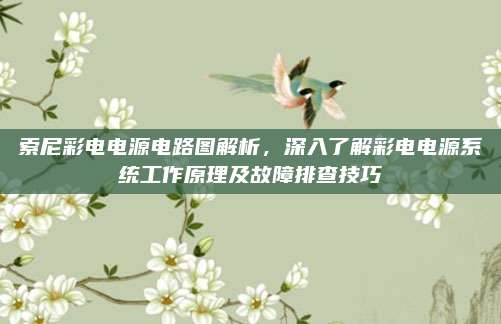 索尼彩电电源电路图解析,深入了解彩电电源系统工作原理及故障排查技巧