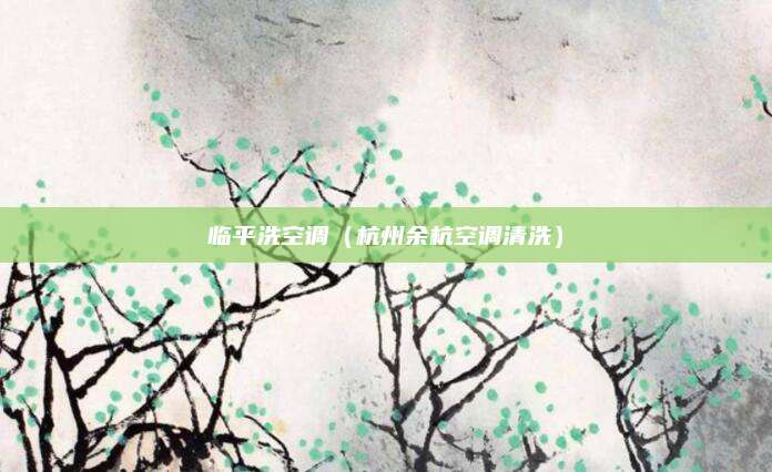 临平洗空调（杭州余杭空调清洗）